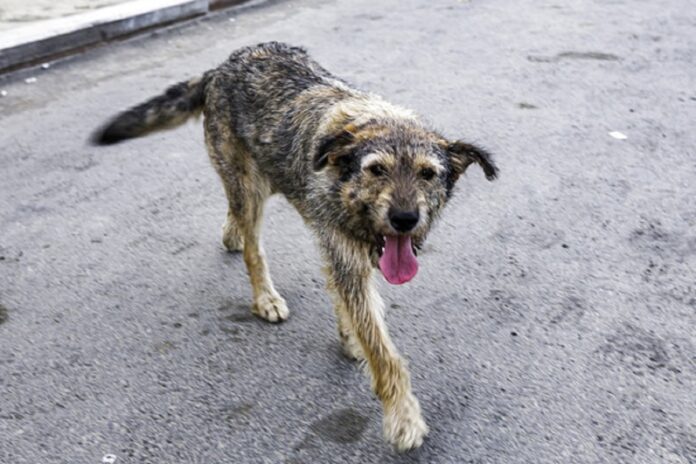 4539412ead815768df9befdd24e71867