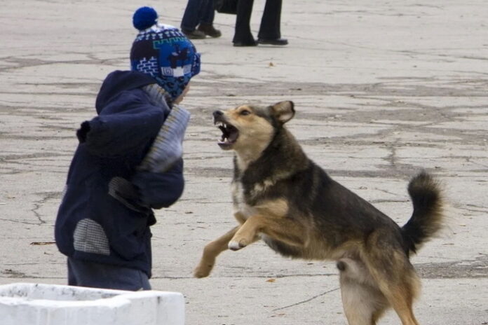 fbb99941d23381dd793307713a523808